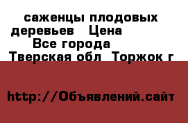 саженцы плодовых деревьев › Цена ­ 6 080 - Все города  »    . Тверская обл.,Торжок г.